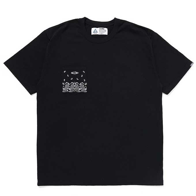 CHALLENGER(チャレンジャー)Tシャツ商品一覧ページ│通販正規取扱店STLIKE