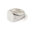  SILVER/WHITE FINISH