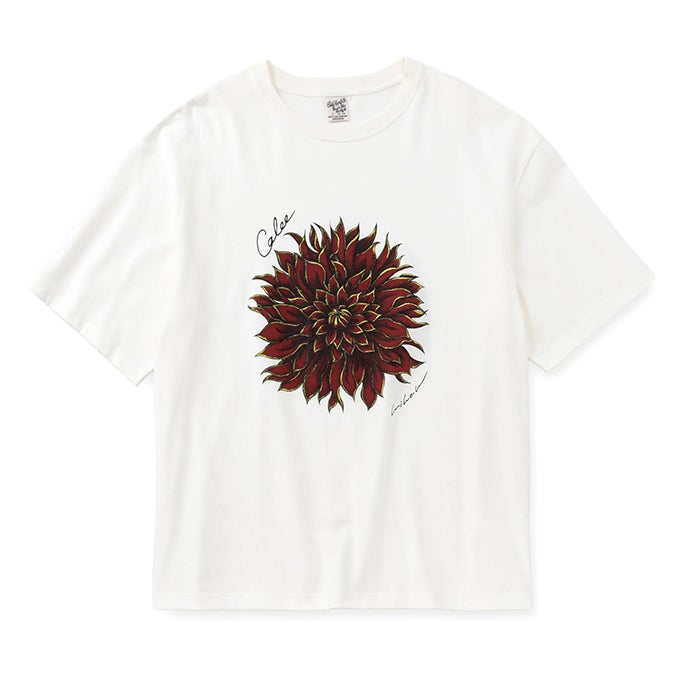 WHITE/RED	